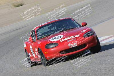 media/Nov-04-2023-CalClub SCCA (Sat) [[cb7353a443]]/Group 3/Cotton Corners (Race)/